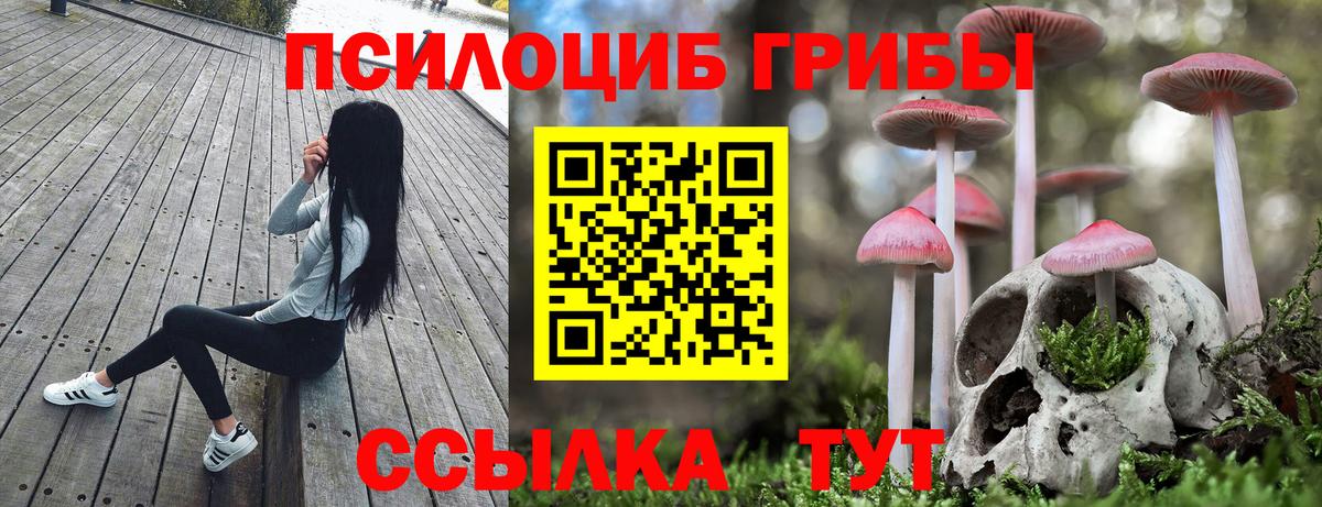 Псилоцибиновые грибы GOLDEN TEACHER Вятские Поляны